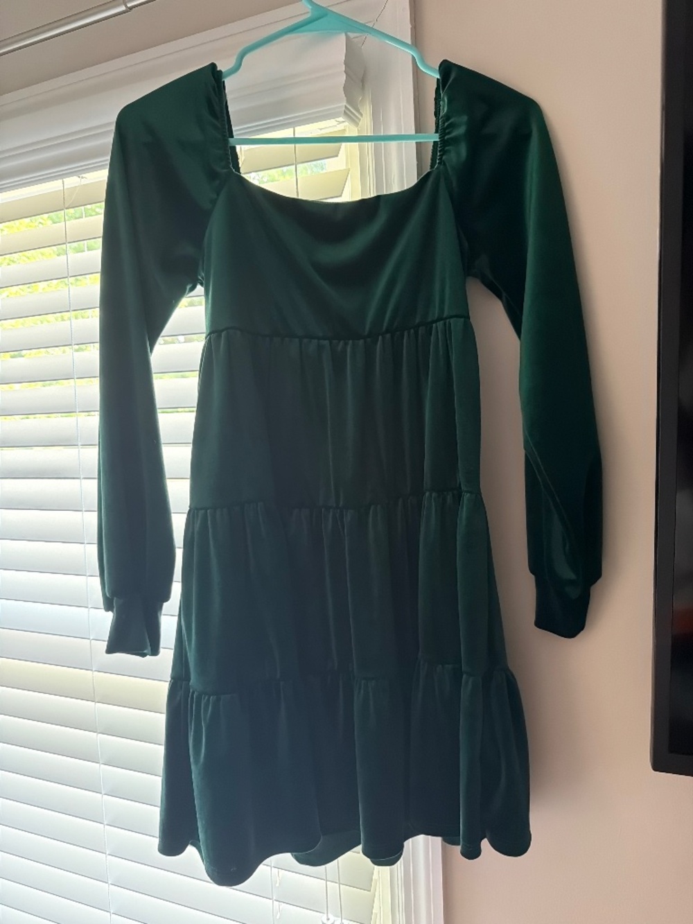 Altard State Green Long Sleeve Mini Dress
